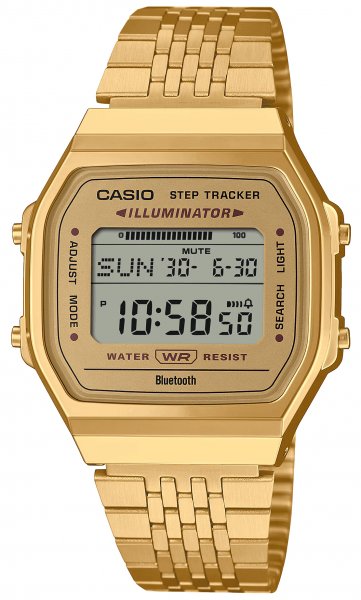 Casio ABL-100WEG-9A - Standart Digital (�����������)