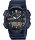 Casio AEQ-110W-2A
