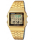 Casio A500WGA-1