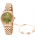 Just Cavalli JC1L315M0075_SET